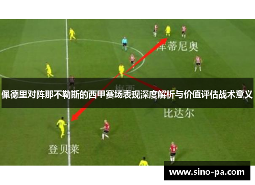 佩德里对阵那不勒斯的西甲赛场表现深度解析与价值评估战术意义